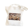 5 Titans Bag - Attack On Titan Store